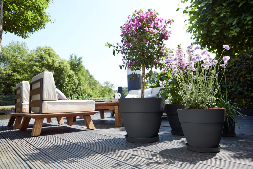 Vibia Campana Round 20