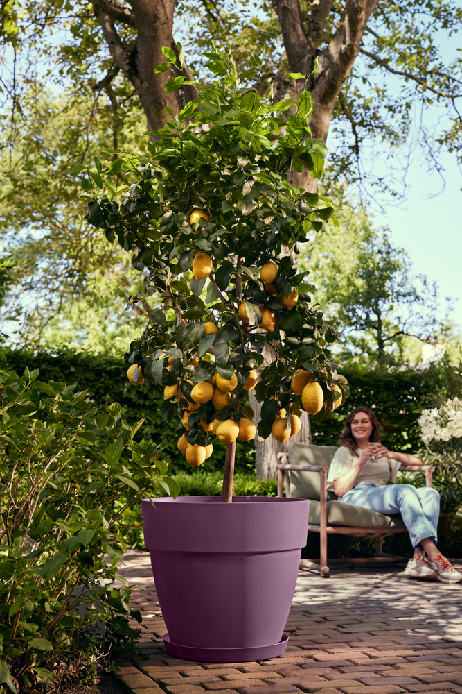 Vibia Campana Round 47