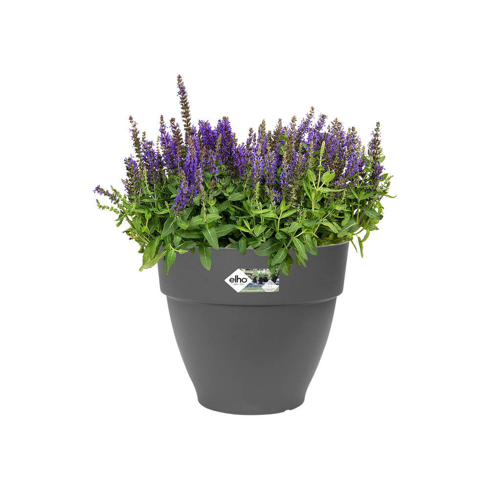 Vibia Campana Round 20