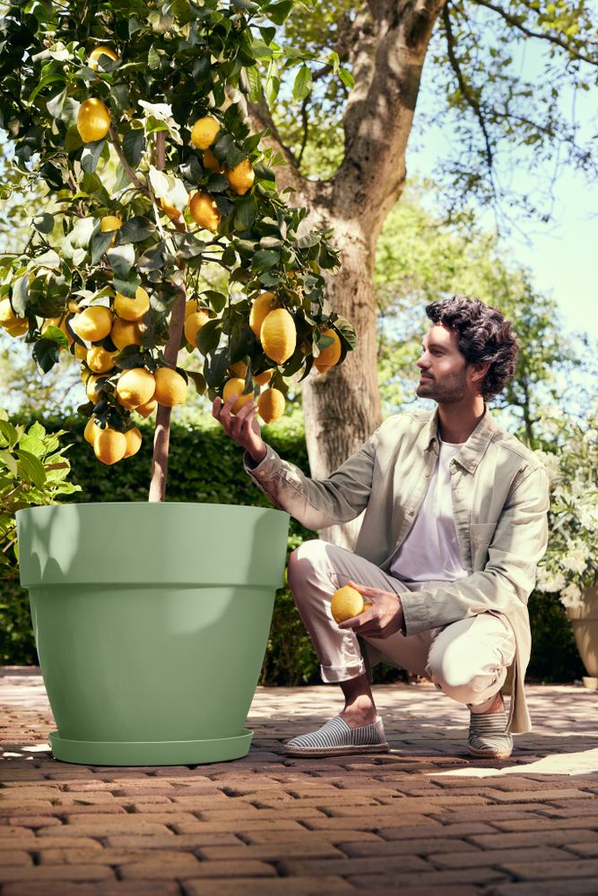 Vibia Campana Round 47