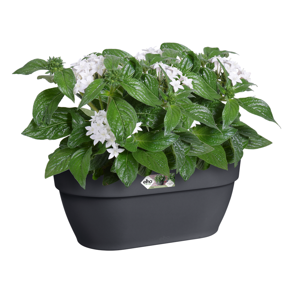 Vibia Campana Wall Basket 35