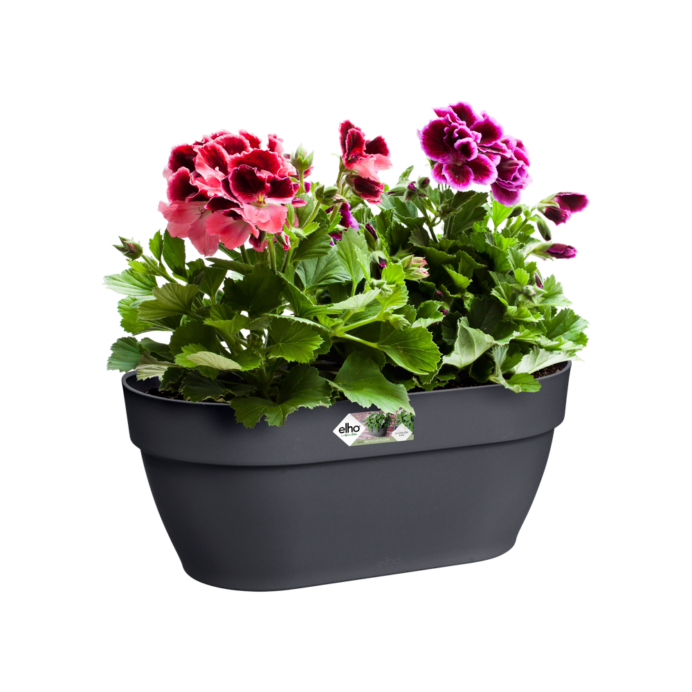 Vibia Campana Wall Basket 35