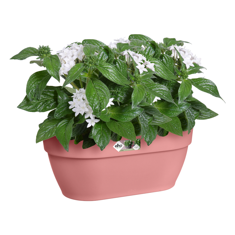 Vibia Campana Wall Basket 35