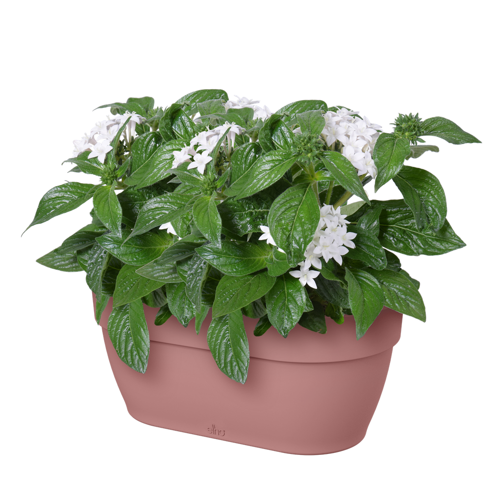 Vibia Campana Wall Basket 35