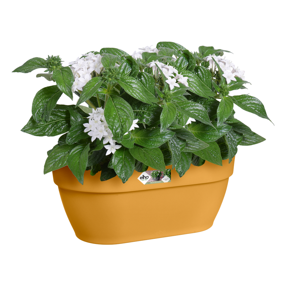 Vibia Campana Wall Basket 35