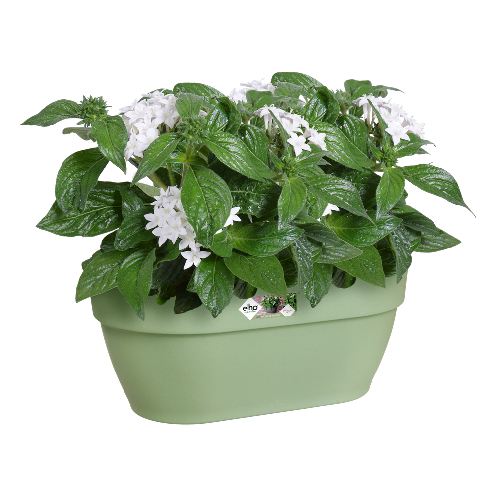 Vibia Campana Wall Basket 35