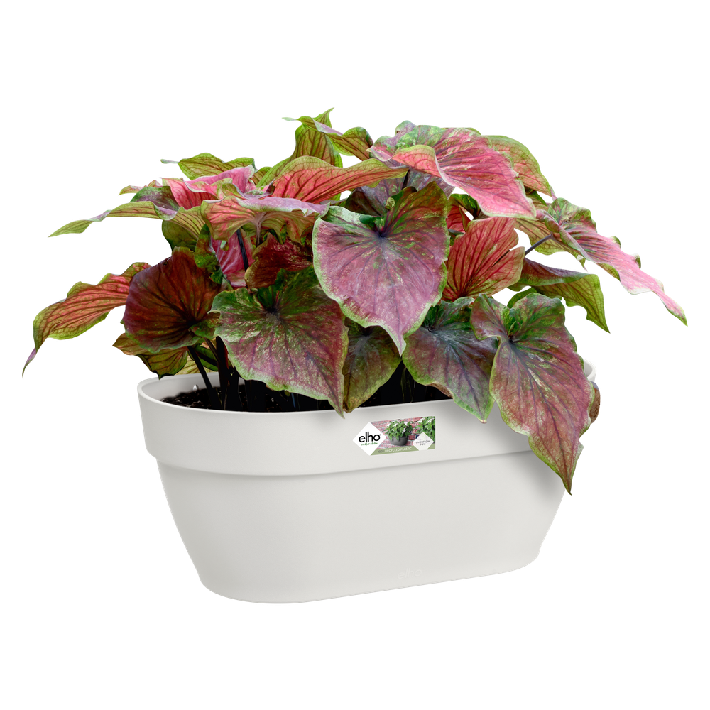 Vibia Campana Wall Basket 35