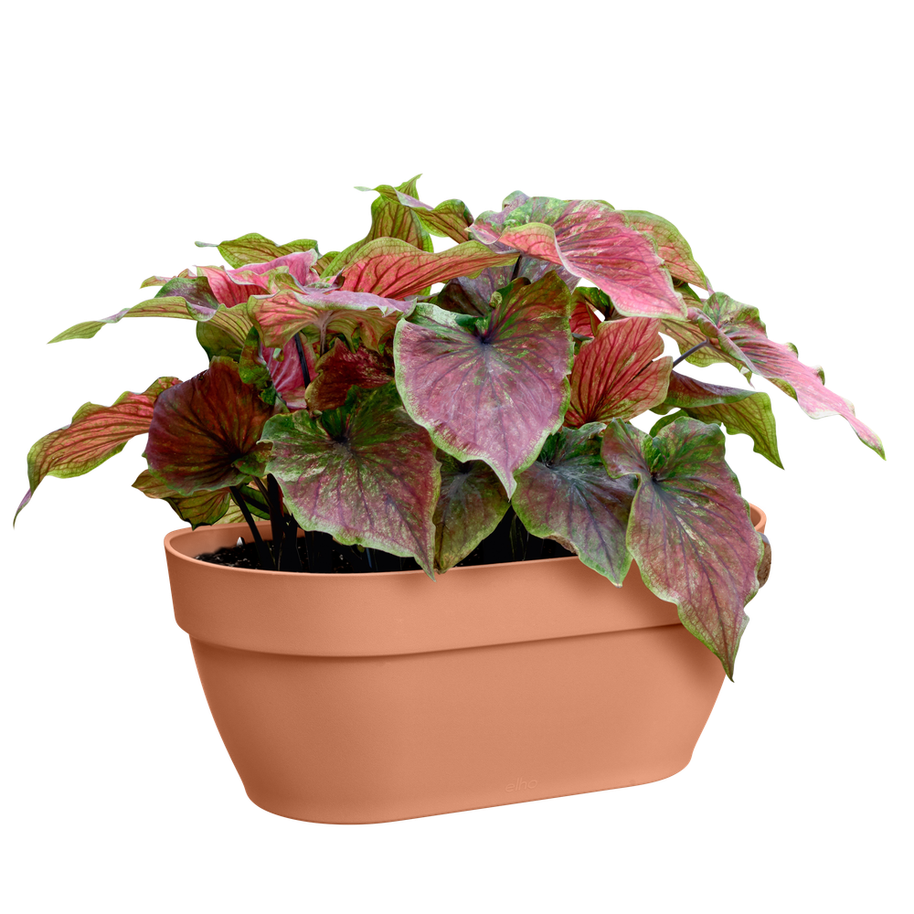 Vibia Campana Wall Basket 35