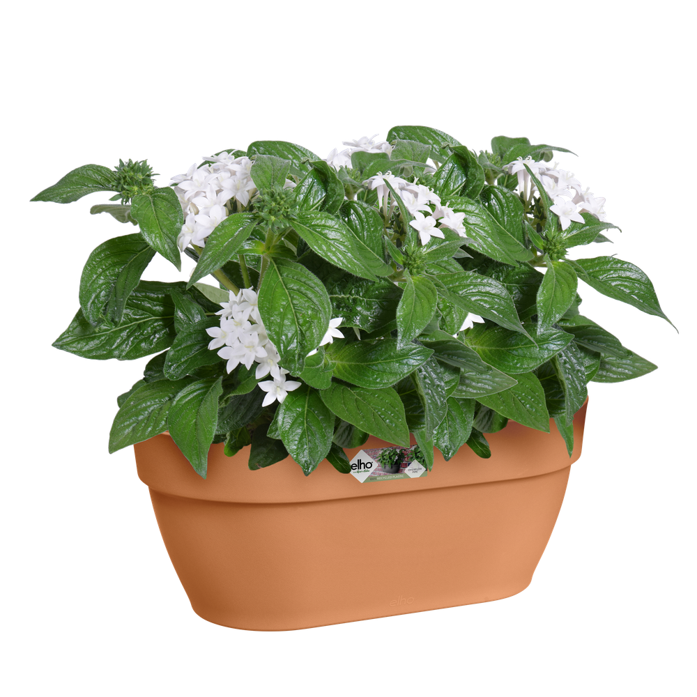 Vibia Campana Wall Basket 35