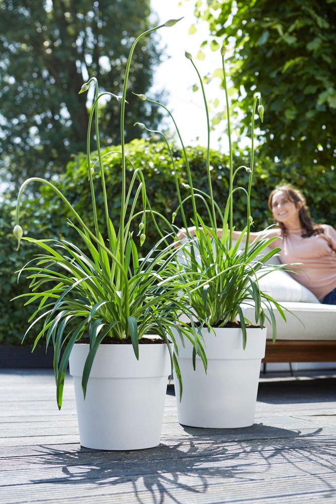 Vibia Straight Round 25