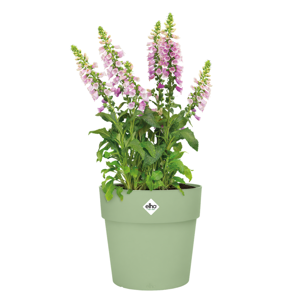 Vibia Straight Round 25