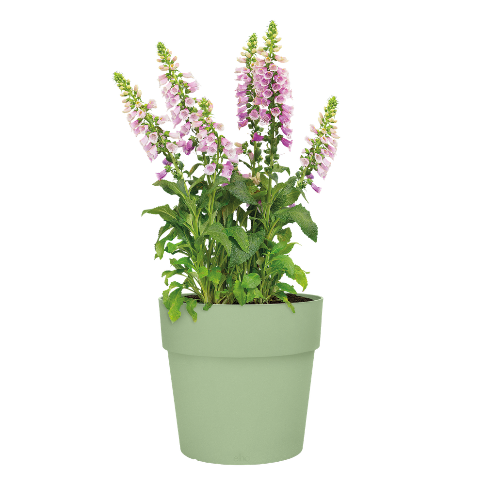 Vibia Straight Round 40