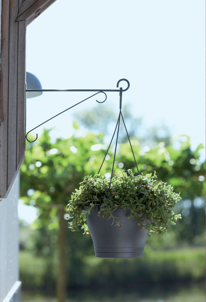 Wall Hook Elegance 30