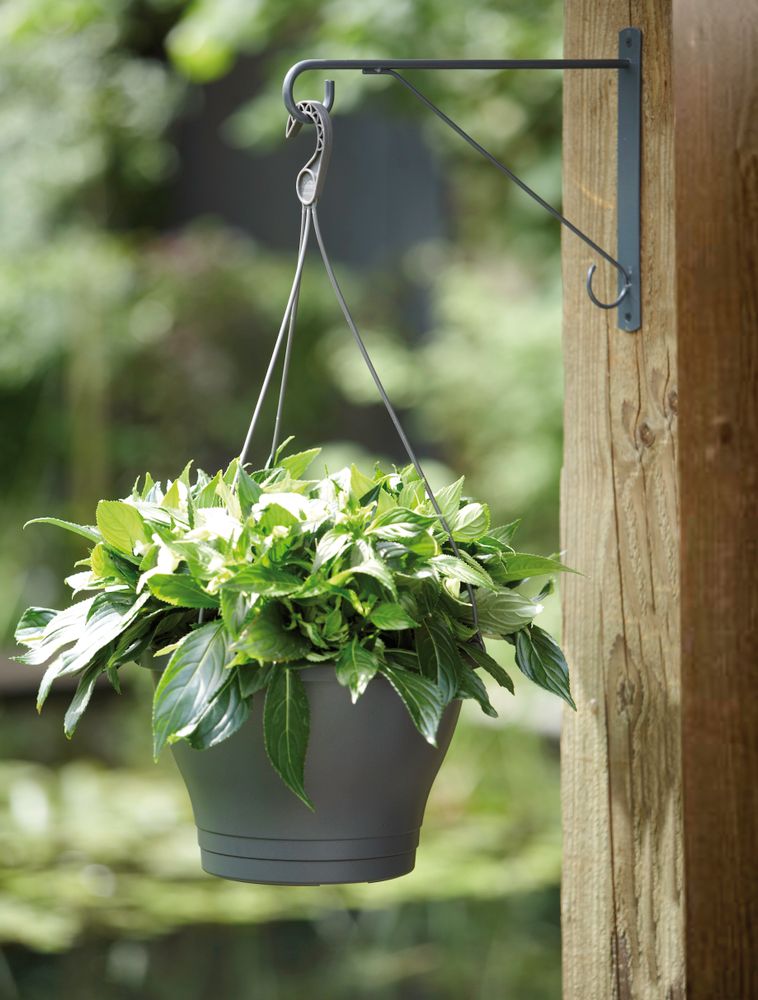 Wall Hook Elegance 30